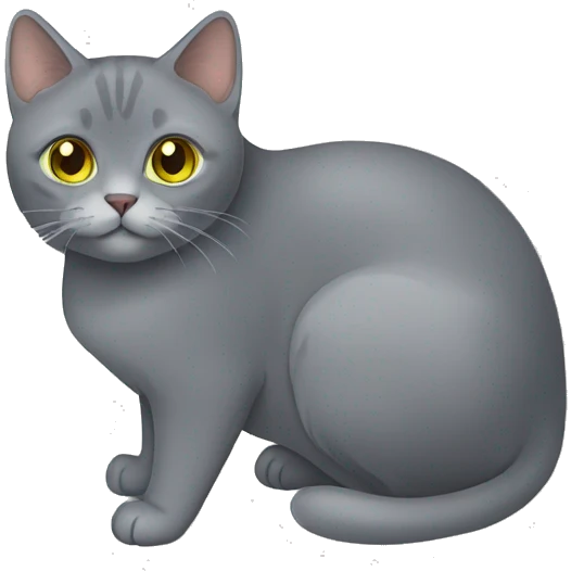 A chartreux cat  emoji