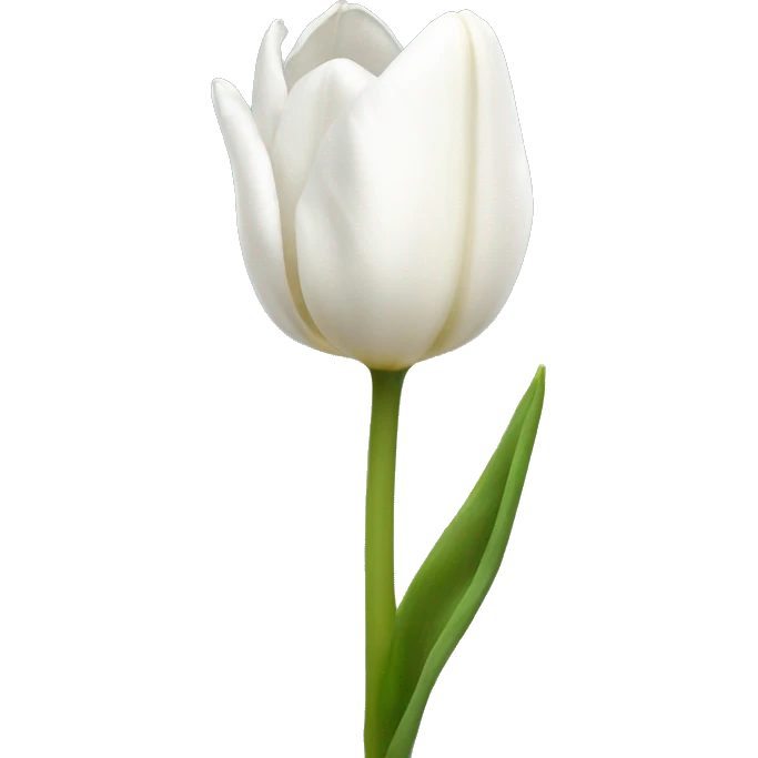 white tulip emoji