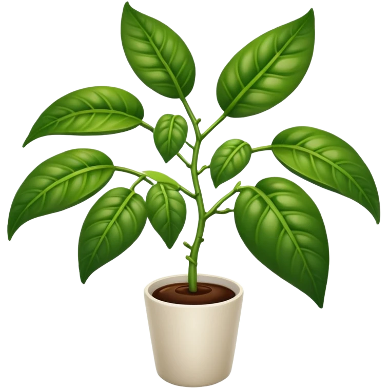 mata de cafe  emoji