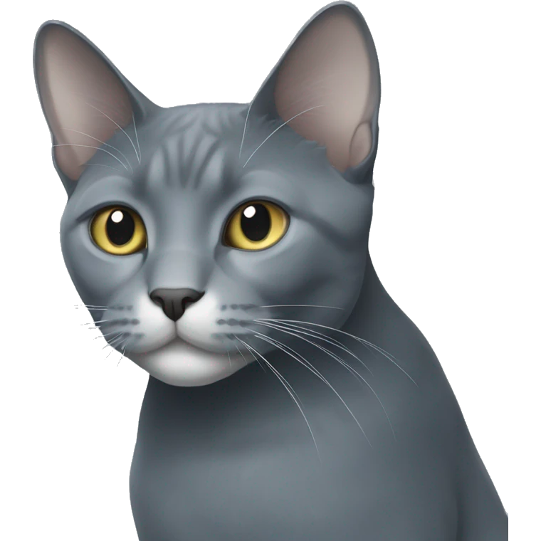 Tall large russian blue cat with white patch of hair on chest emoji