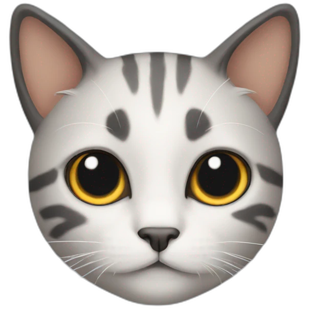 cat with black cap hair emoji
