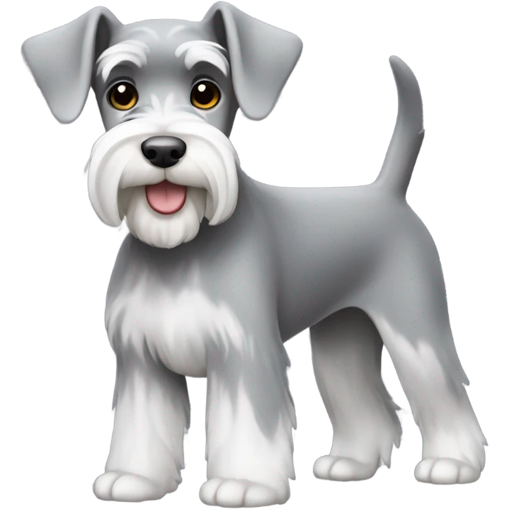 Miniature schnauzer grey and white  emoji