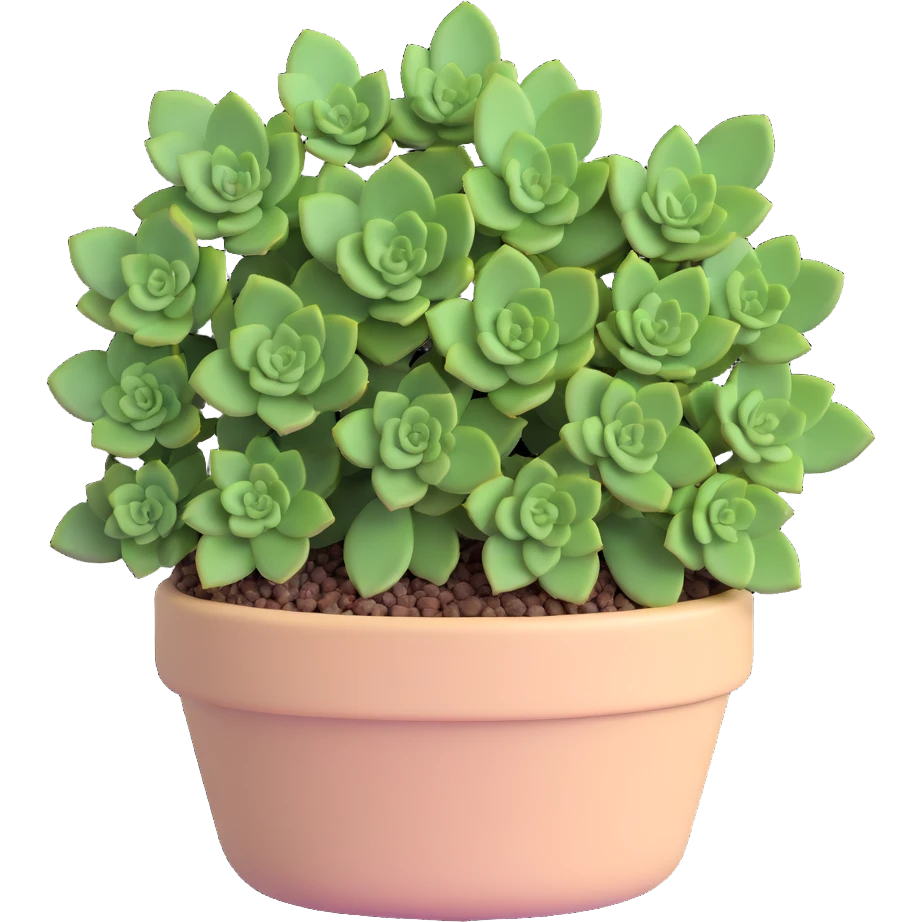 Sedum Pachyphyllum succulent with chubby blue-green leaves in a beige pot emoji