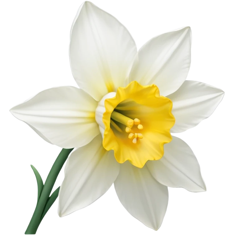 Narcissus flower emoji