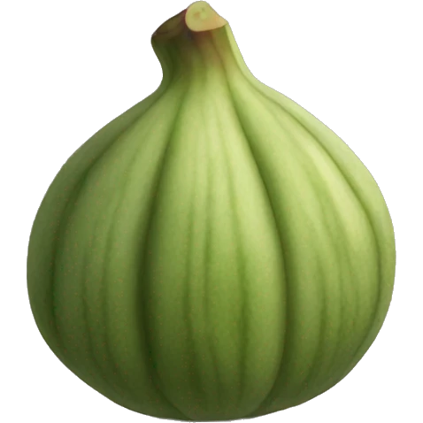 fig emoji