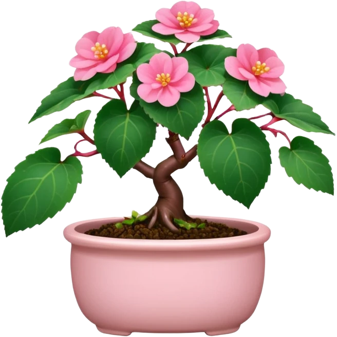 Begonia bonsai emoji