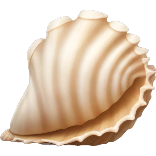 Seashell emoji