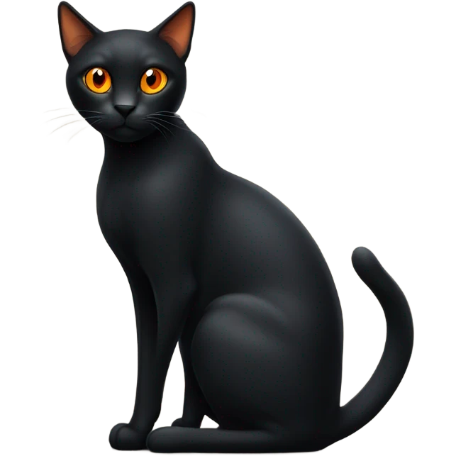 Black cat with orange eyes  emoji