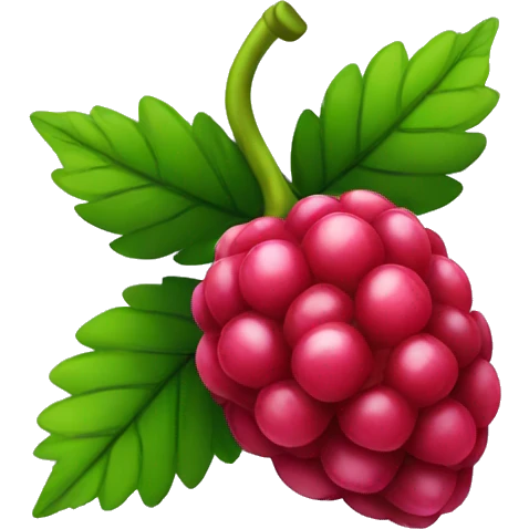 Raspberry  emoji