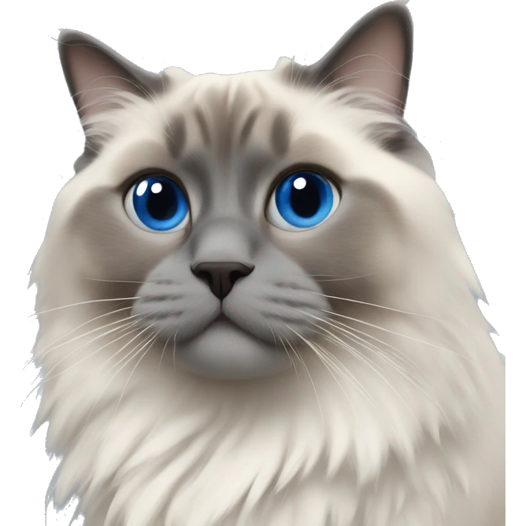 Blue point ragdoll  emoji
