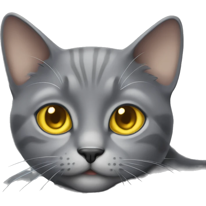Gray cat with yellow eyes emoji