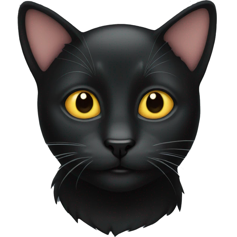 A Black cat emoji