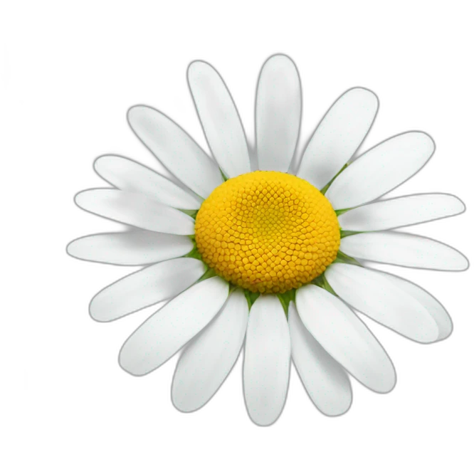 Chamomile flower emoji