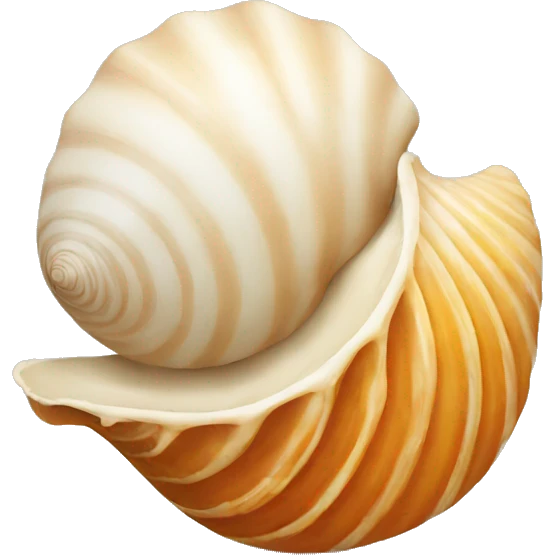 shell emoji