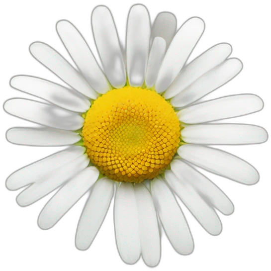Chamomile flower emoji