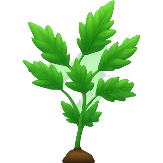 Green 🍁 plant  emoji