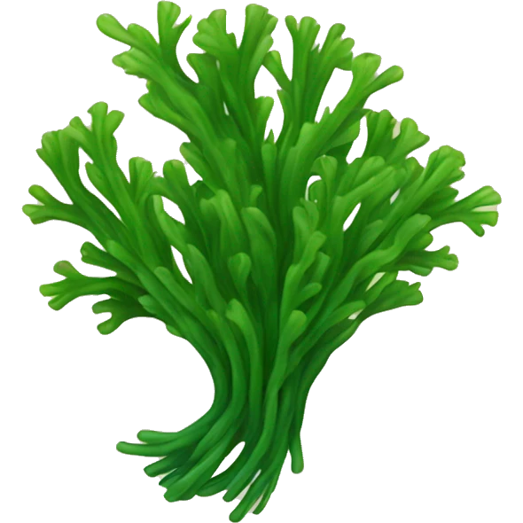 Seaweed  emoji