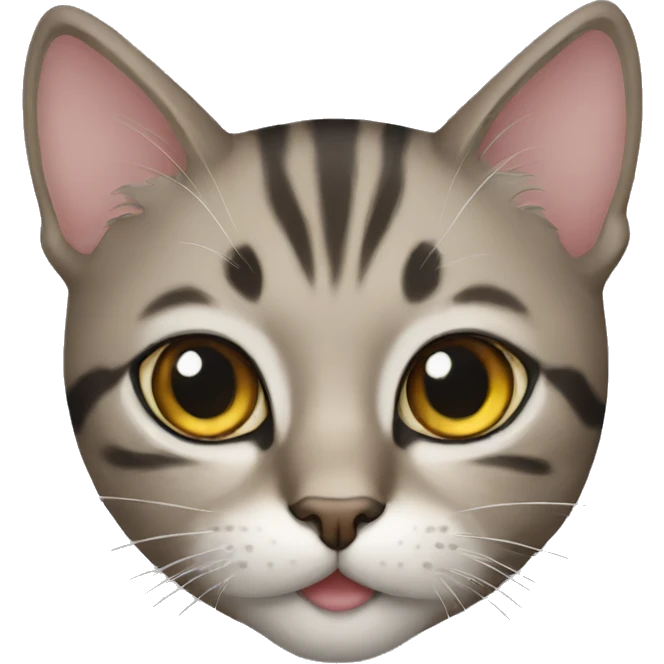 Cat emoji