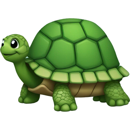  :turtle: emoji