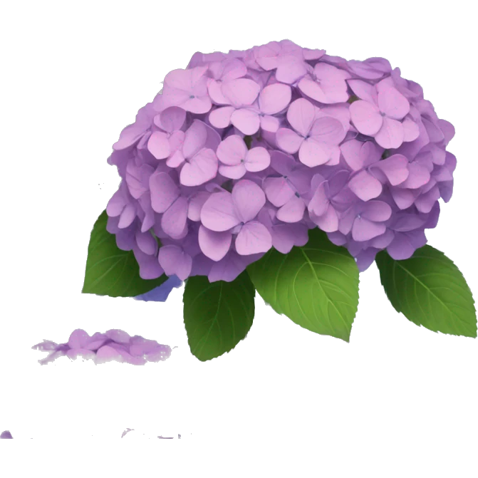 hydrangea emoji