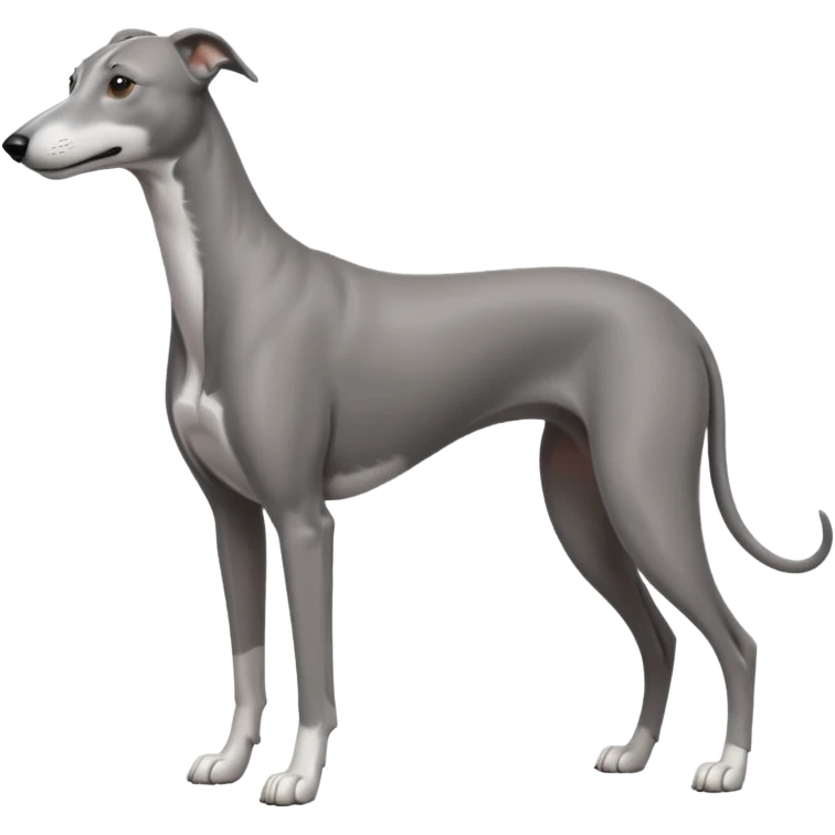 greyhound emoji