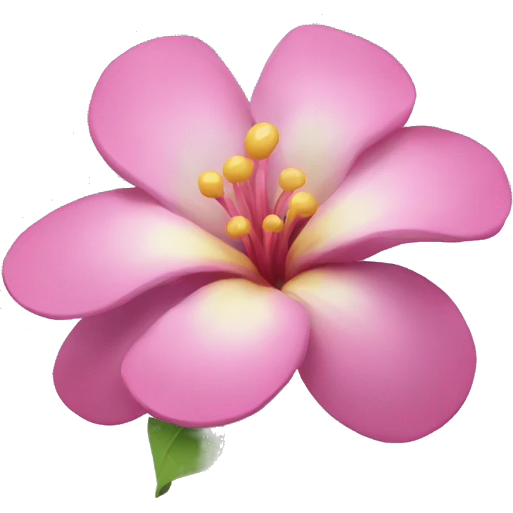 Flower🌺 emoji