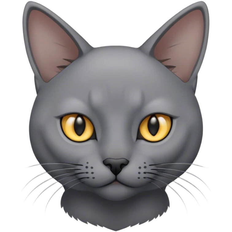Gray korat cat emoji