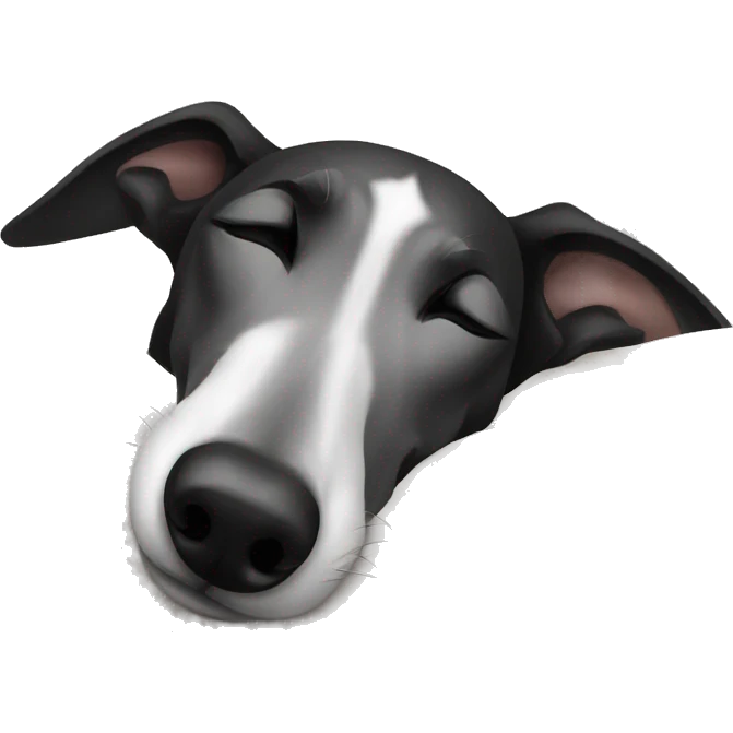 black and white Greyhound sleeping on bed emoji