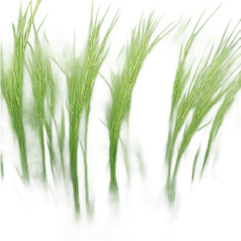 Winter Rye emoji