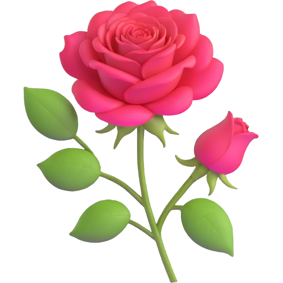 beautiful rose with Hindi text Husn meaning beauty emoji