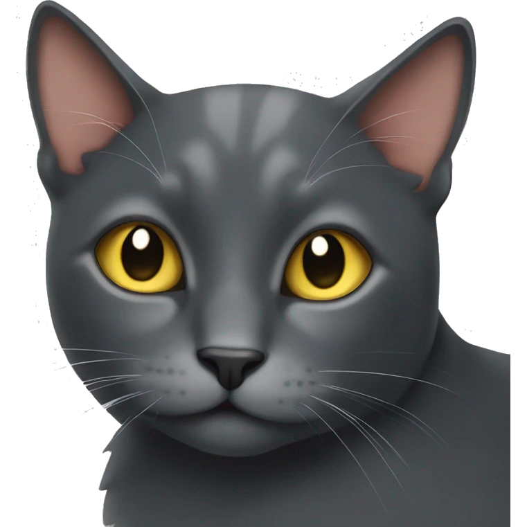 Dark grey cat in the sun emoji