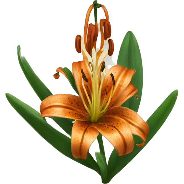 tiger lily emoji