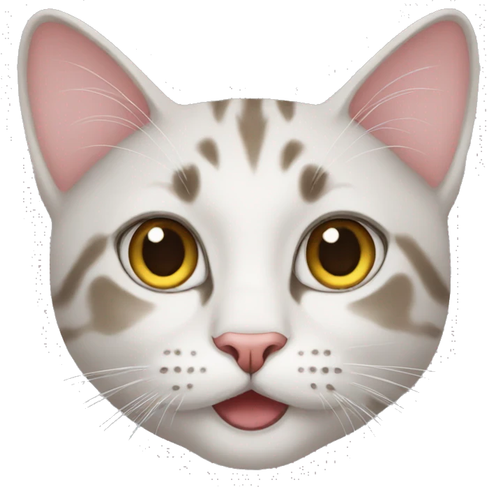 cat emoji