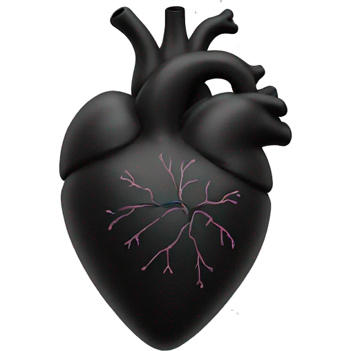 Black heart anatomically correct emoji