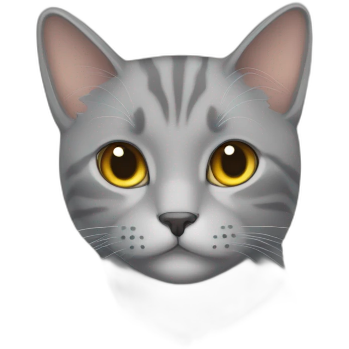 grey cat, with name tag that says: Archi emoji