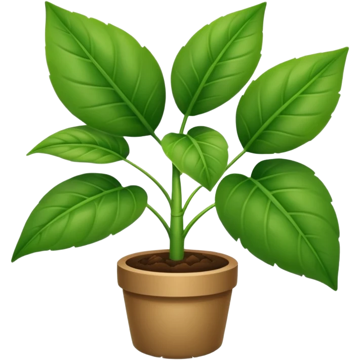 pianta di PHOTOS emoji