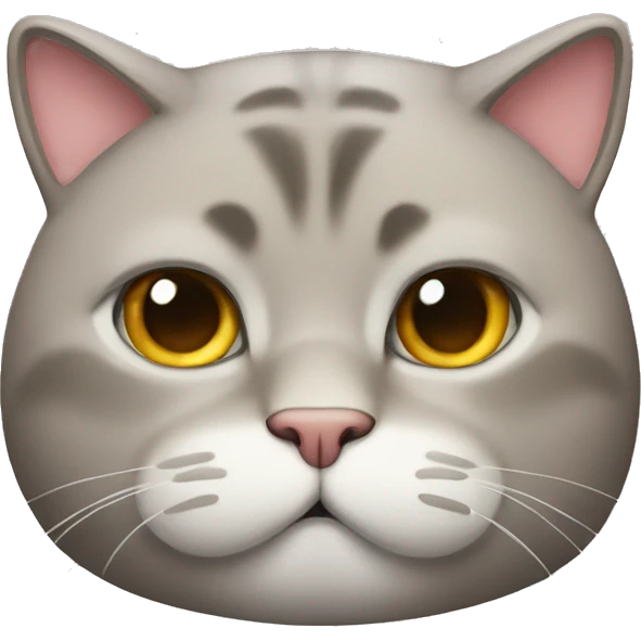 fat cat emoji
