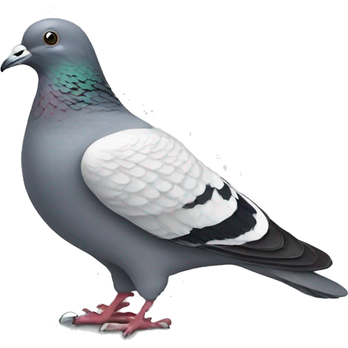 a pigeon wearing converses emoji