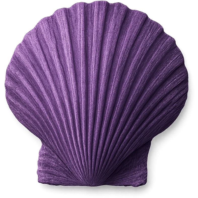 purple shell emoji