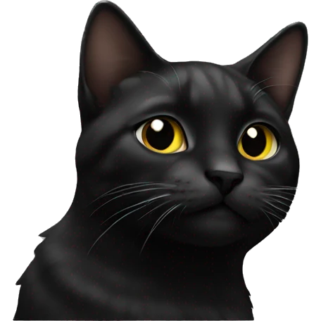 Cat black emoji