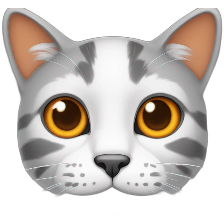 cat with white nose, one ear orange, and the other ear grey emoji