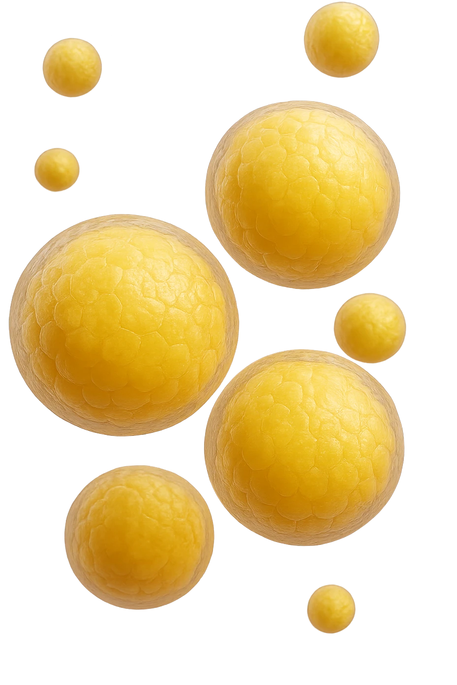 adipociti (cellule gialle) anatomiche realistiche fluttuano in aria, iperrealistico 4k emoji