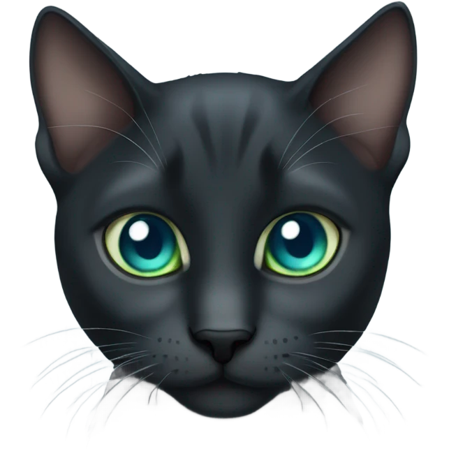 black and dark gray cat blue green eyes emoji
