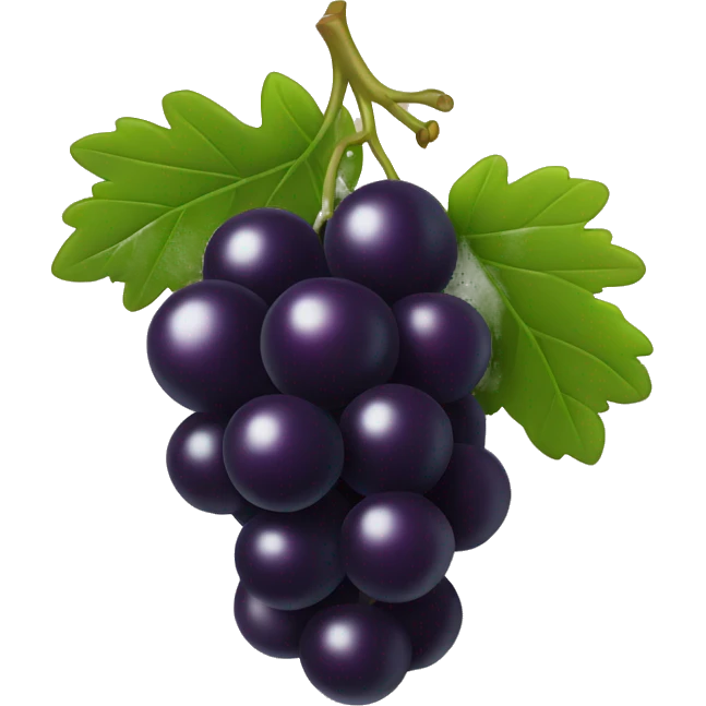 Black currant  emoji