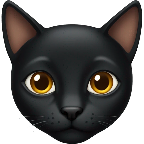 black cat with brown eyes emoji