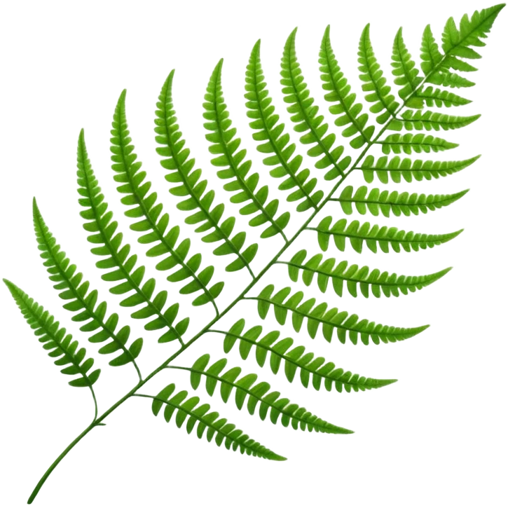 Fern leave emoji