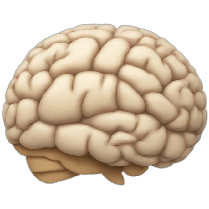 a brain with a wrap emoji
