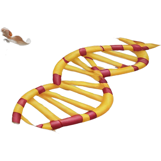 Dna on beach towel  emoji