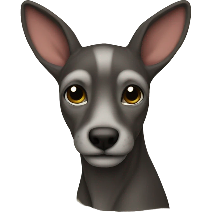 Zirkel emoji