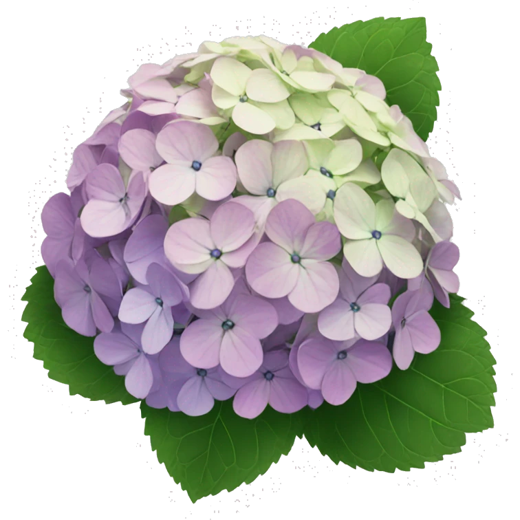 Hydrangeas  emoji